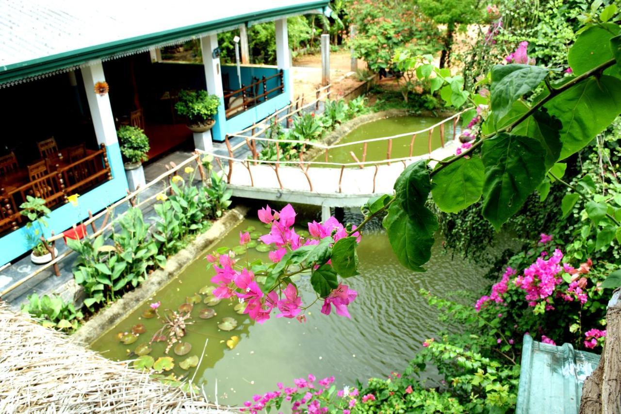 Hungry Lion Resort Sigiriya Dış mekan fotoğraf