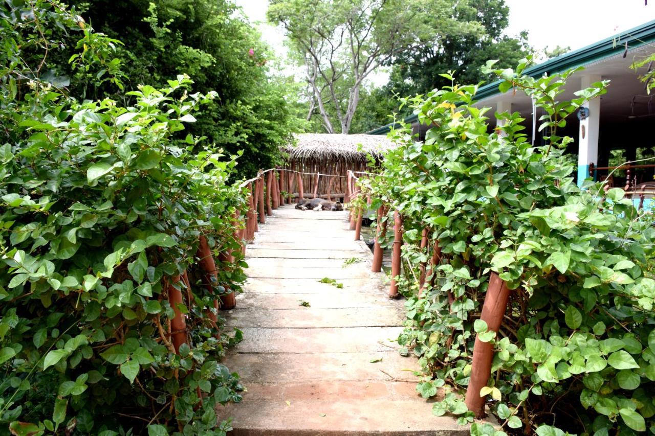 Hungry Lion Resort Sigiriya Dış mekan fotoğraf