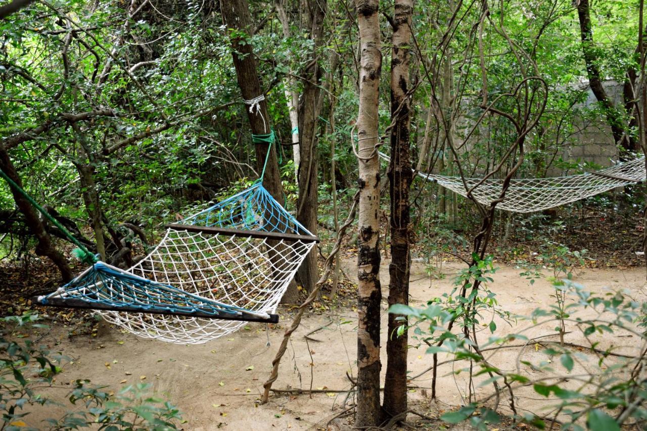 Hungry Lion Resort Sigiriya Dış mekan fotoğraf
