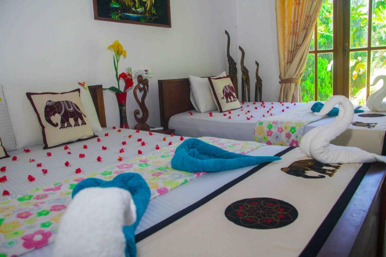 Hungry Lion Resort Sigiriya Dış mekan fotoğraf